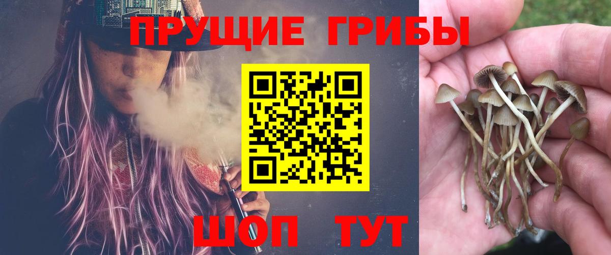 Псилоцибиновые грибы ЛСД Клин